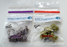 Cultivators, as cannabis cultivation specialist, brought a gimmick. This looks like cannabis, but tastes and is white chocolate.